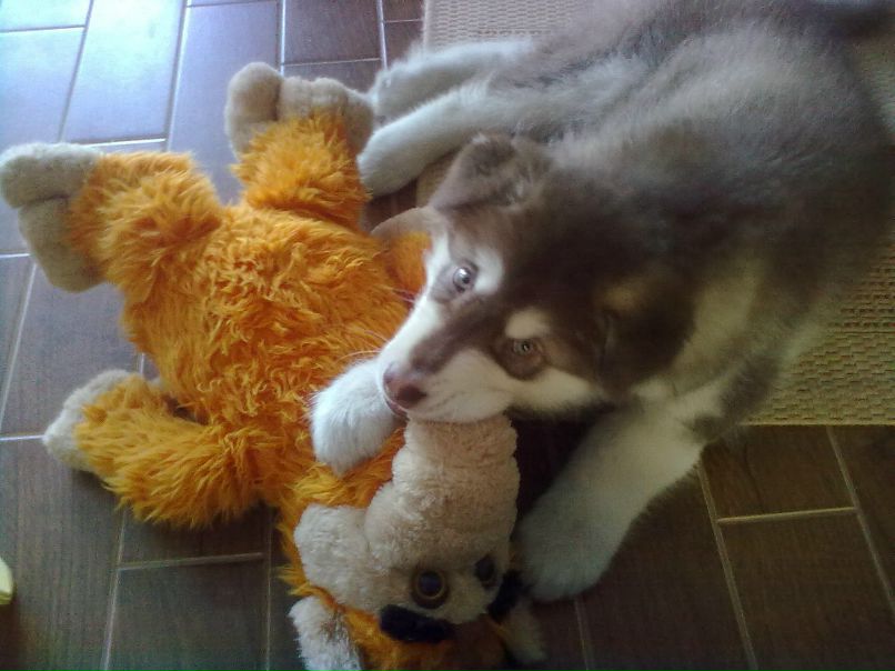 Александр Автаев фотография #8