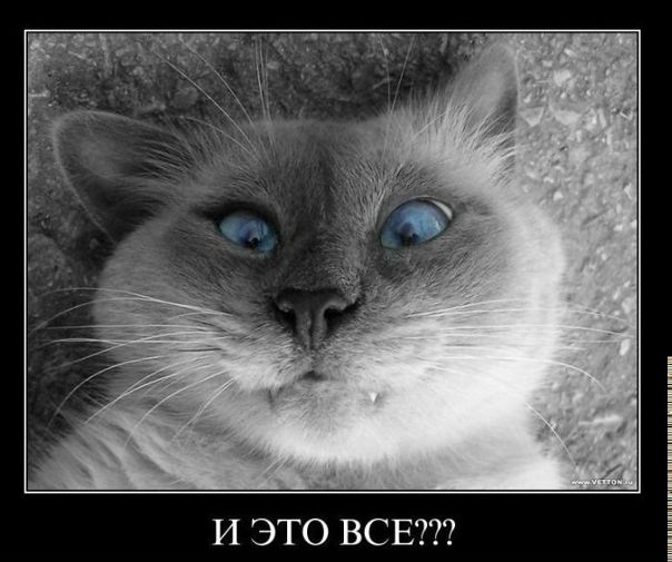 Дмитрий Андросов фото №19