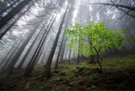 Іван Мосійчук фотография #45 (источник - https://vk.com/id64898834)