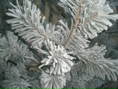 Максим Іващик фотография #35 (источник - https://vk.com/id134287271)