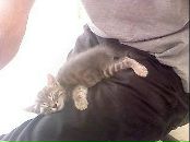 Fırat FIRAT фотография #35 (источник - https://vk.com/id22875274)