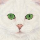 Фотография Мартыновой Натальи