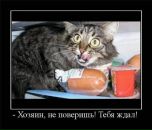Віталій Смагін фотография #12 (источник - https://vk.com/id41660226)