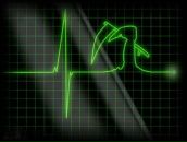 Фотография Алешина Наталья