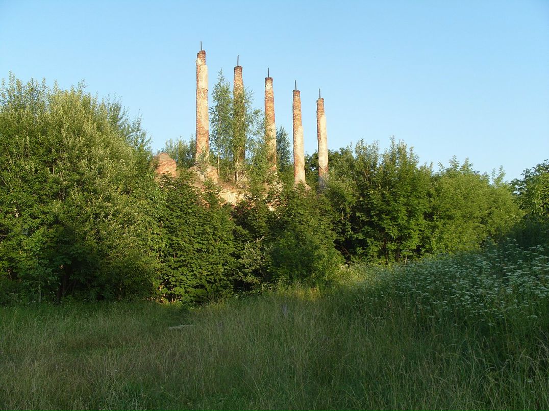 Дмитрий Пызин фотография #37