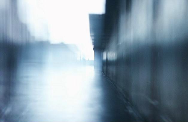 Nemi Dalhar фото №41