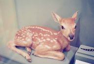 Фотография Токаревой Нелли