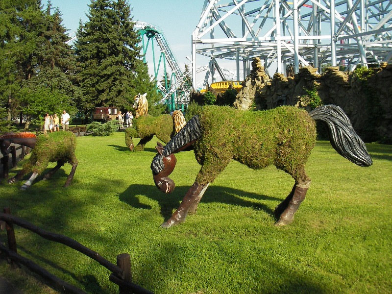 Наталья Кравченко фотография #38