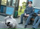 Василій Мороз фотография #19 (источник - https://vk.com/id78119686)