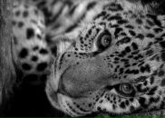 Фотография Николаевой Татьяны