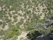 Богдан Зарічинський фотография #33 (источник - https://vk.com/id85218238)