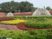 Илья Лычагин фотография #21 (источник - https://vk.com/id225448)