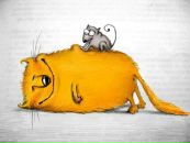 Фотография Сухорукова Александра