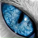 Фотография Баганова Баганова