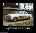 Тима Мороз фотография #25 (источник - https://vk.com/id249775)