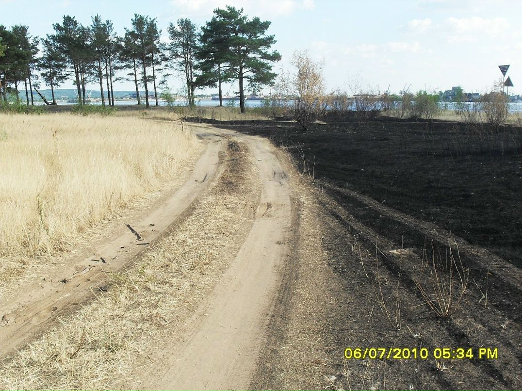 Саня Белый фотография #42