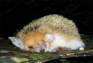 Діма Яценко фотография #20 (источник - https://vk.com/id12352602)