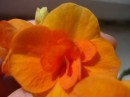 Фотография Ихласовой Елены