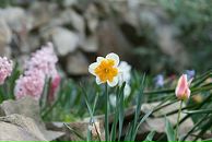 Дина Исаева фотография #31 (источник - https://vk.com/id2965210)