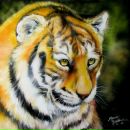 Фотография Леамирда Алексея