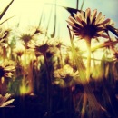 Фотография Андреевой Екатерины