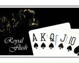 Фотография Star Poker
