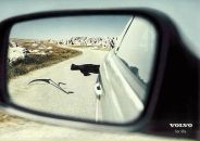 Фотография Рыбки Александра