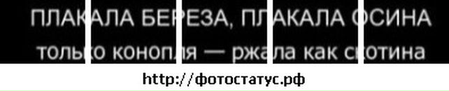 Владислав Лісовський фотография #17 (источник - https://vk.com/id71103328)