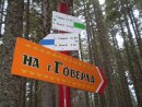 Андрій Ступень фотография #24 (источник - https://vk.com/id26232548)