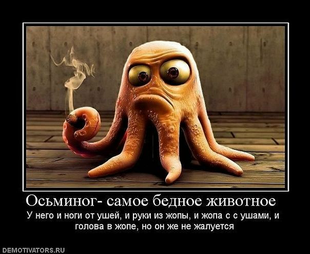 №14, Татьяна Федорчук, Пущино №14, Татьяна Федорчук, Пущино
