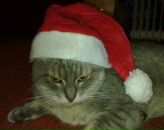 Фотография Полубояровой Александры