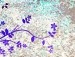 Вікторія Зелінський фотография #12 (источник - https://vk.com/id142500318)