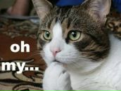 Фотография Никитина Алексея