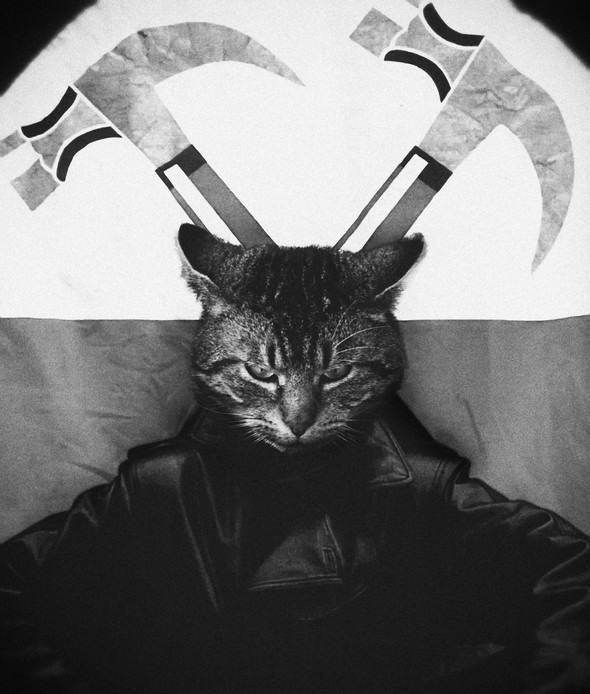 Дмитрий Фёдоров фотография #41