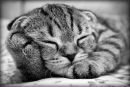 Фотография Анохиной Кати