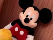 Оля Кушнірук фотография #21 (источник - https://vk.com/id16061337)