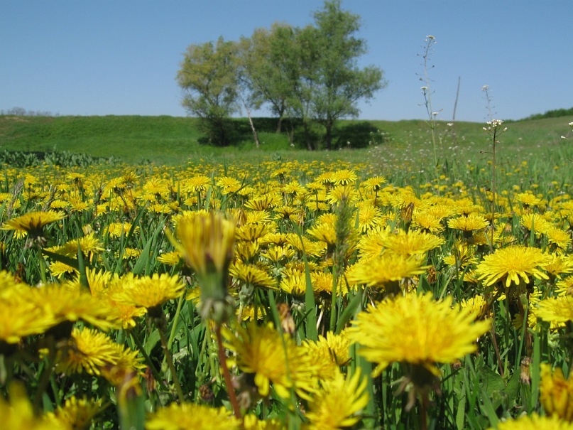 Дмитрий Куницкий фотография #14