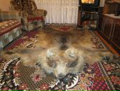 Денис Матюшин фотография #7 (источник - https://vk.com/id520293)